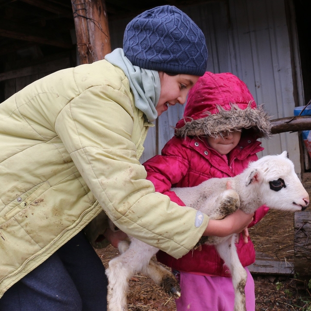 Bolu'da yaylalardan köylere göç başladı