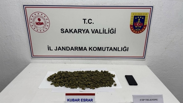 Sakarya'da evde kenevir yetiştiren ve uyuşturucuyla yakalanan 2 şüpheli tutuklandı