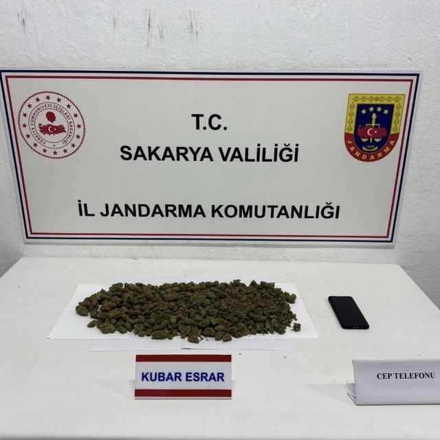 Sakarya'da evde kenevir yetiştiren ve uyuşturucuyla yakalanan 2 şüpheli tut...