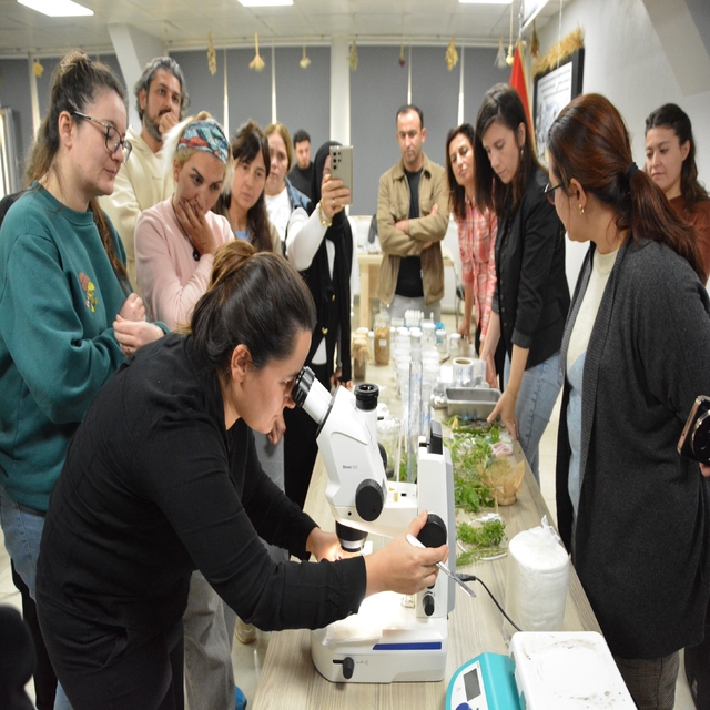 BAÇEM'de 5. Bitki Doku Kültürü kursu tamamlandı