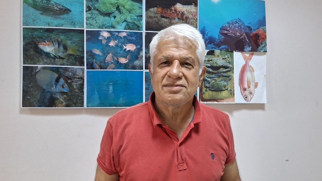 Yerli balıkları korumak için "yabancı türler ekonomiye kazandırılsın" önerisi