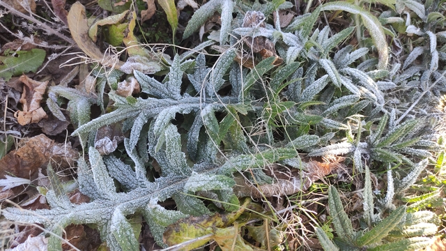 Ardahan'ın Göle ilçesi Türkiye'nin en soğuk yerleşim yeri oldu