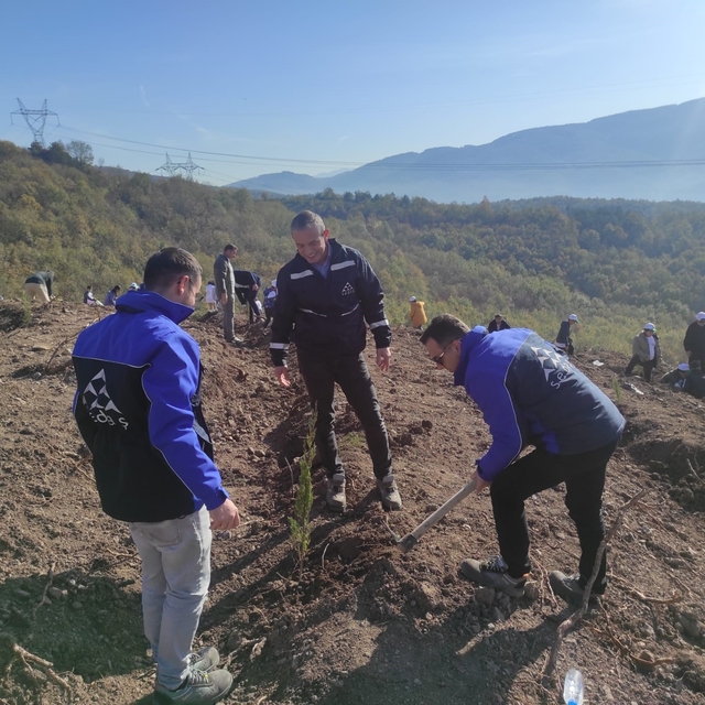 SEDAŞ, 4 ilde 500 fidanı toprakla buluşturdu