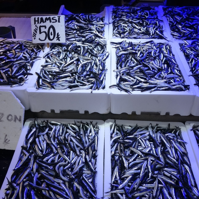 Trabzonlular hamsiye doydu
Son yılların en bereketli sezonunun yaşandığı ke...