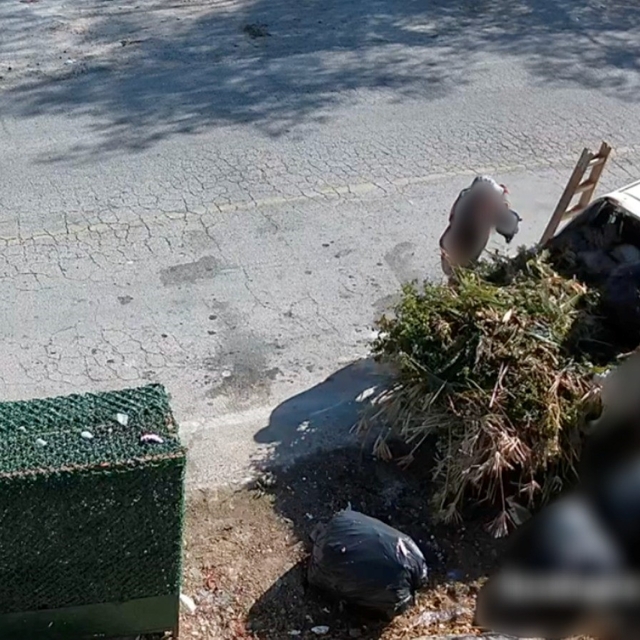 Bodrum'da çevreyi kirletenler belediye kamerasına yakalandı