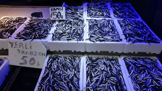 Trabzonlular hamsiye doydu
Son yılların en bereketli sezonunun yaşandığı kentte hamsi kilosu 50 TL'den satılıyor