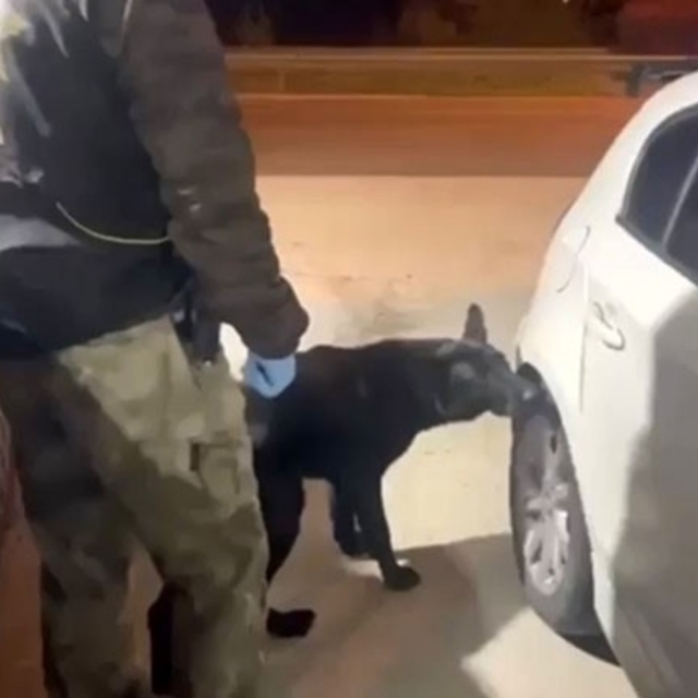 Narkotik köpeği Tony bagajdaki uyuşturucuyu buldu