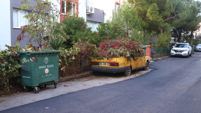 İzmir'de 8 yıldır park halindeki otomobili sarmaşıklar sardı