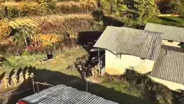 Bağ evinde saklanan firari hükümlüye jandarmanın operasyonu dron kamerasında