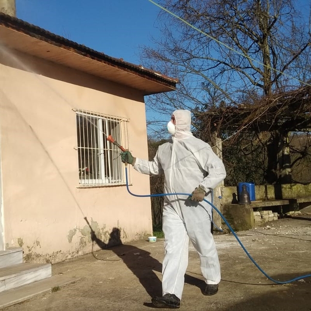 Tarım ve Orman İl Müdürlüğü'nden 'Kahverengi Kokarca' çağrısı
'Gördüğünüz y...