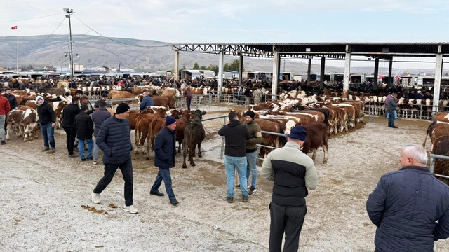Sorgun'da hayvan pazarı yeniden açıldı