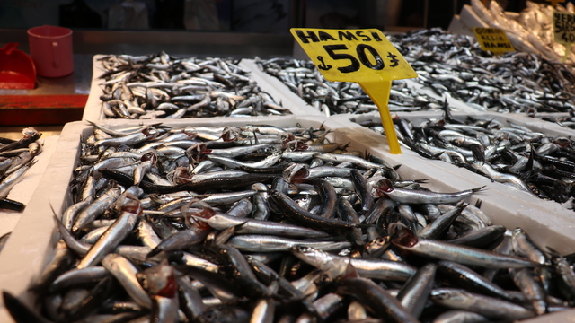 Hamsi bolluğu Trabzon'daki balıkçı tezgahlarında fiyatlara yansıdı