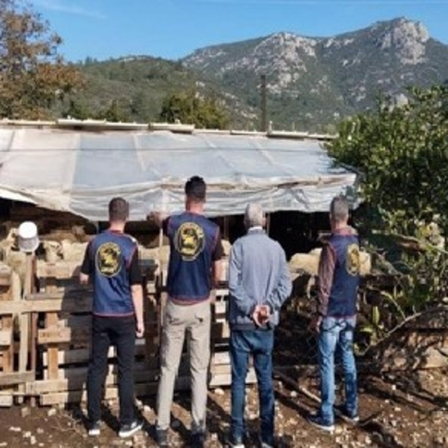 Germencik'te çalınan hayvanlar bulunarak sahibine teslim edildi