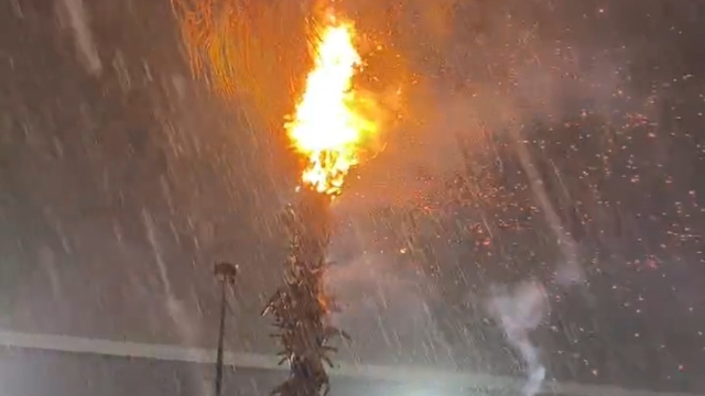 Adana'da düşen yıldırımlar yangına neden oldu