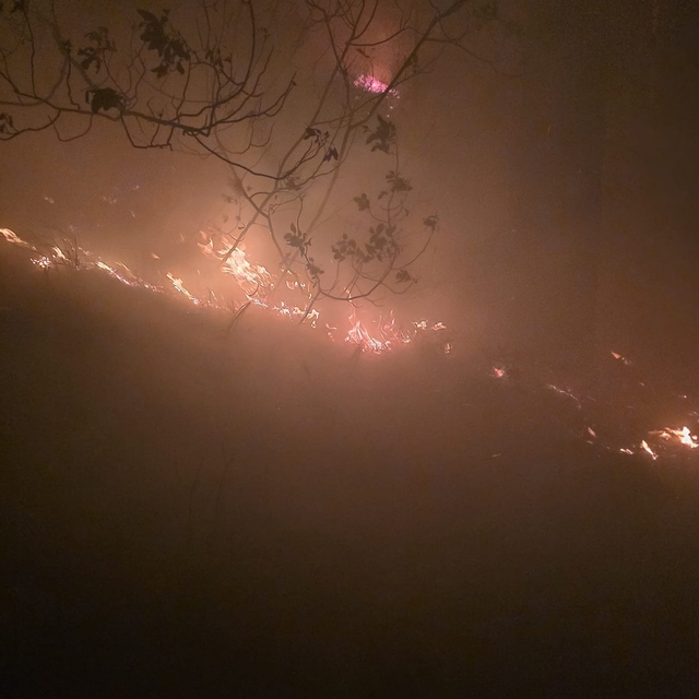 Hatay'da yıldırım düşmesi sonucu orman yangını çıktı