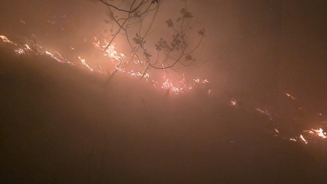 Hatay'da yıldırımın düştüğü ormanlık alanda yangın çıktı