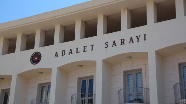 Köpekleri tüfekle vuran şahıs tutuklandı