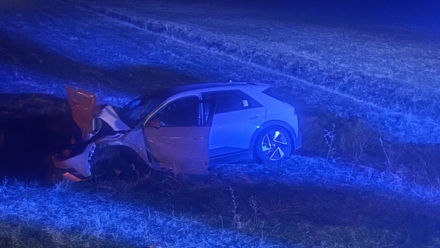 Muş'ta otomobil yola çıkan ineğe çarptı