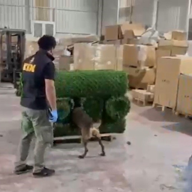 Binlerce uyuşturucu hapı yapay çimin içerisine sakladılar