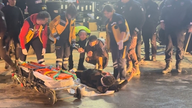 Kaçan sürücü polis aracına çarptı: 2 yaralı