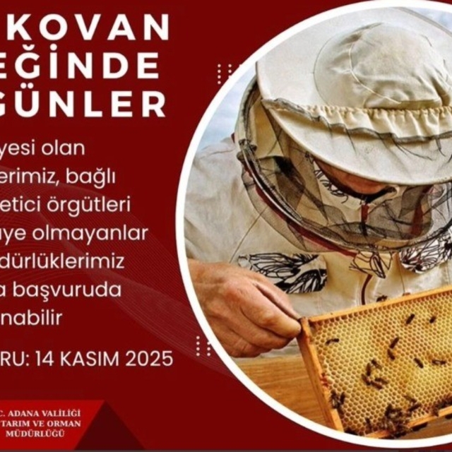 'Arılı kovan' desteği için son gün