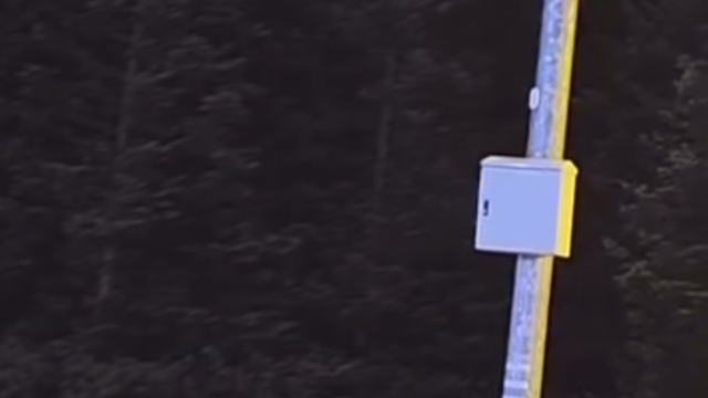 Uludağ'da kış uykusuna yatmayan ayılar, çöp konteynerlerini talan etti