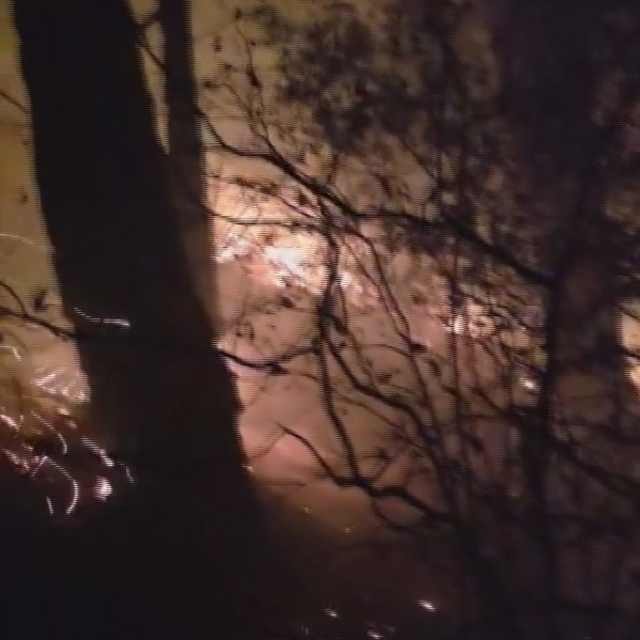 Hatay'da yıldırım düşmesiyle çıkan orman yangına müdahale devam ediyor