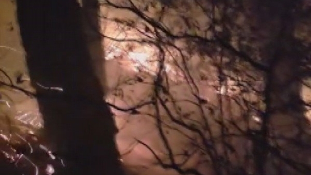 Hatay'da yıldırım düşmesiyle çıkan orman yangına müdahale devam ediyor