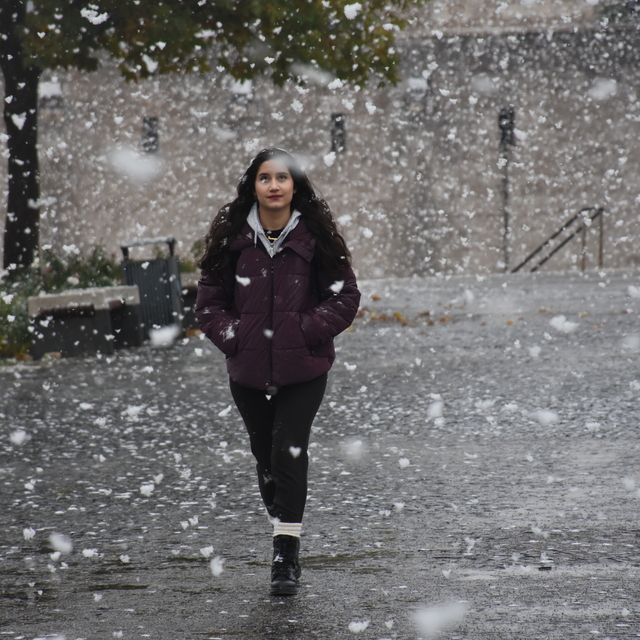 Sivas'ta yüksek kesimlere kar yağdı (2)