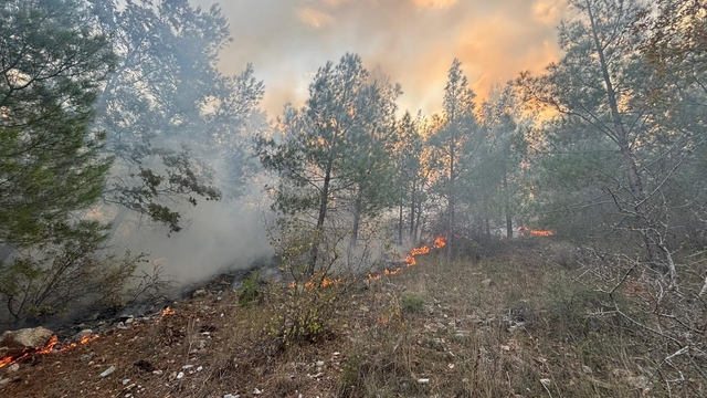 Bozyazı'da orman yangını kontrol altına alındı