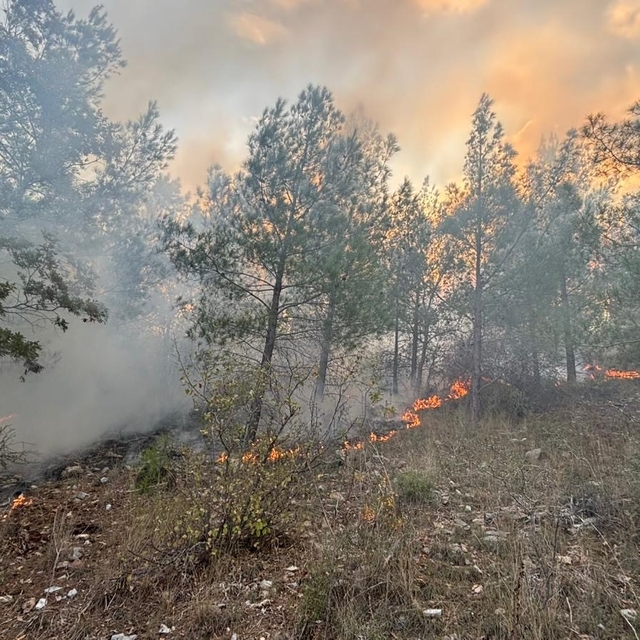 Bozyazı'da orman yangını kontrol altına alındı