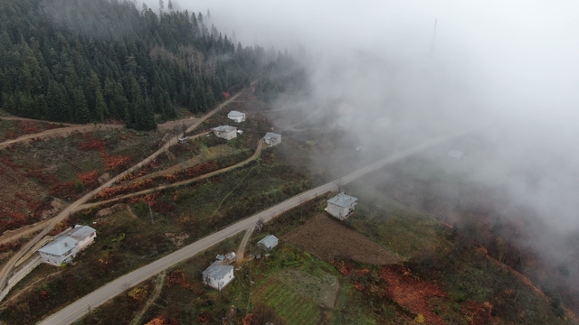 Kastamonu'da Yaralıgöz geçidinde sis nedeniyle görüş mesafesi düştü