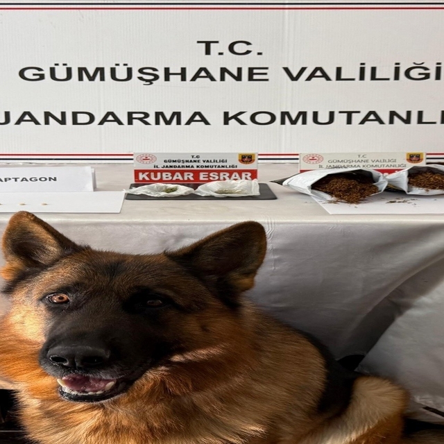 Gümüşhane'de uyuşturucu operasyonunda 4 kişi yakalandı