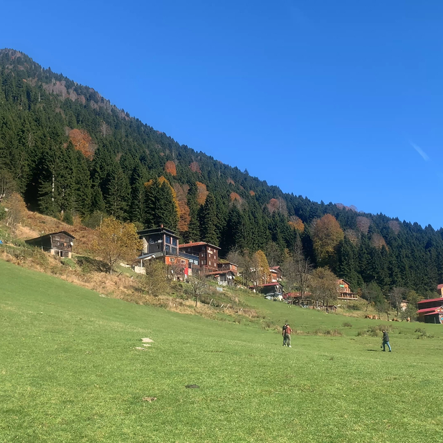 Ayder Yaylası'nda teleferikle ulaşım planlanıyor