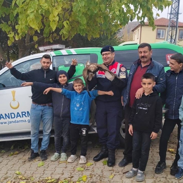 Yozgat'ta bulunan yaralı kızıl şahin çocukların ilgi odağı oldu