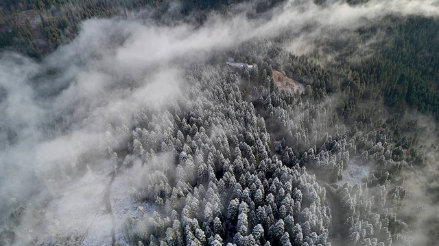 Karabük'te Sarıçiçek Yaylası'nda kar ve sis etkili oldu