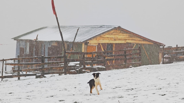 Ordu'nun yüksekleri beyaza büründü