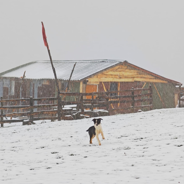 Ordu'nun yüksekleri beyaza büründü