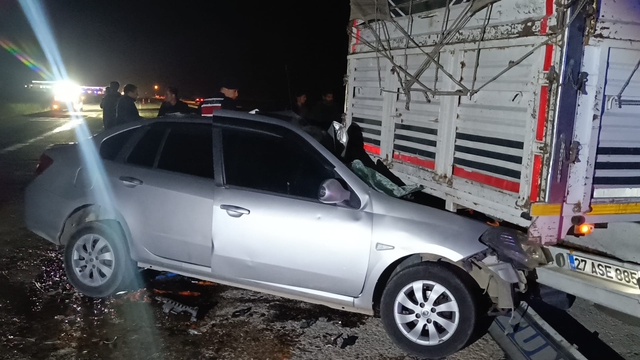 Adana'da kamyona çarpan otomobildeki iki kişi yaralandı