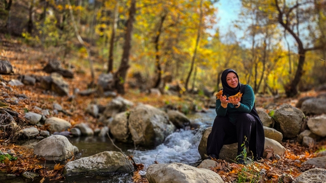 Belemedik, sonbaharda renk cümbüşüne büründü