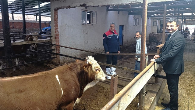 Samsun Tarım ve Orman Müdürü Yılmaz, Ladik'te besicileri ziyaret etti