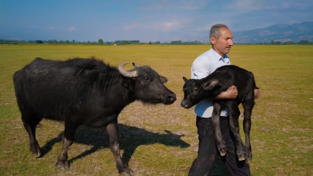 Tokatlı fırın ustasının Paris'teki ödül sevinci vize engeline takıldı