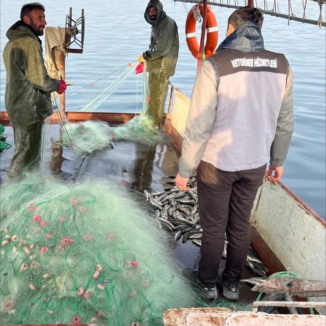 Van Gölü'nde balıkçılık denetimi yapıldı