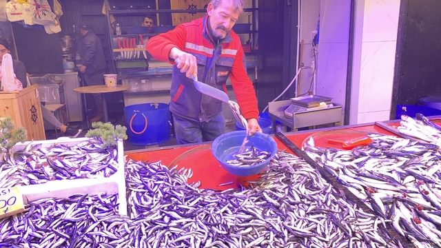 Denizlerde bollaşan hamsi tezgahlarda 100 TL'ye yer buldu
Balıkçı Cengizhan Şen:
"Hamsi, sardalya ve istavritin bol tüketilmesi gereken bir dönem"