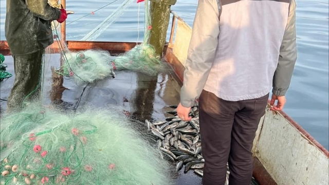 Van Gölü'nde balıkçılık denetimi yapıldı