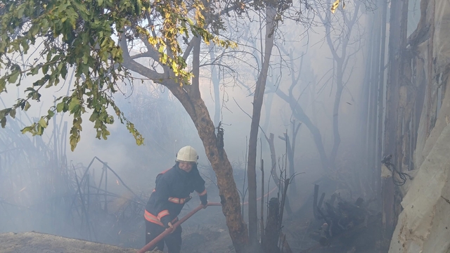 Bozyazı'da çıkan yangın seralara zarar verdi