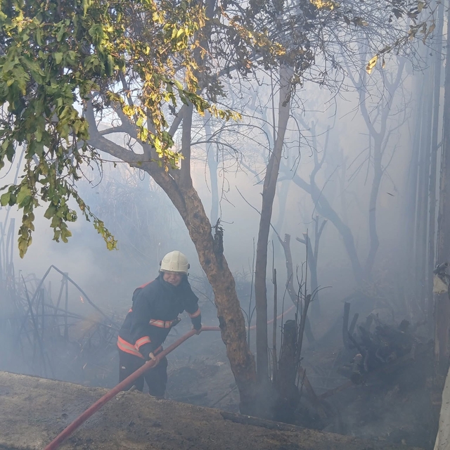 Bozyazı'da çıkan yangın seralara zarar verdi