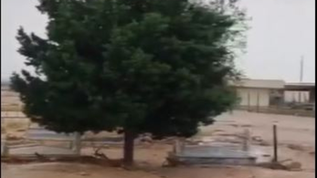 Mardin'de sağanak; dereler taştı, yollar göle döndü