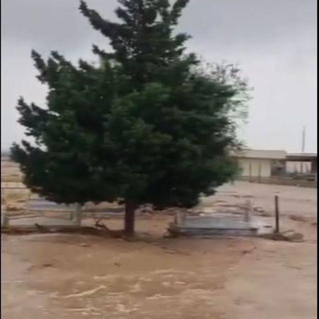 Mardin'de sağanak; dereler taştı, yollar göle döndü