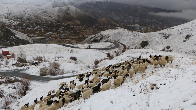 Hakkari'de kar yağışı